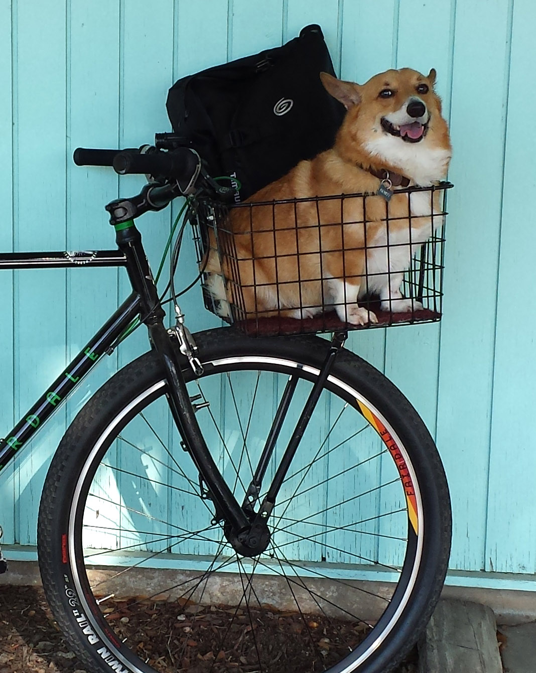 front bike basket for dog